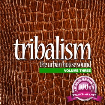 VA - Tribalism Vol 3: The Urban House Sound (2011)