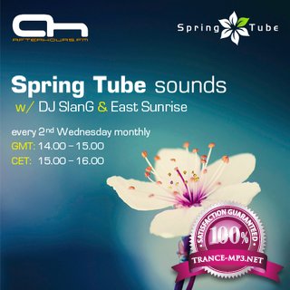 DJ SlanG - Spring Tube sounds 029 (11-12-2012)