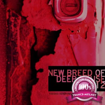 VA - New Breed Of Deep House 2012 (2012)