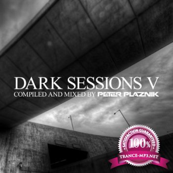 Dark Sessions V: Complied and mixed by Peter Plaznik (2012)
