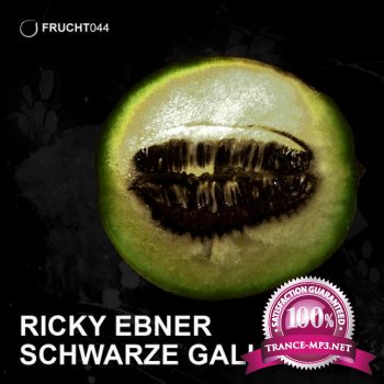 Ricky Ebner  Schwarze Galia LP (2012)