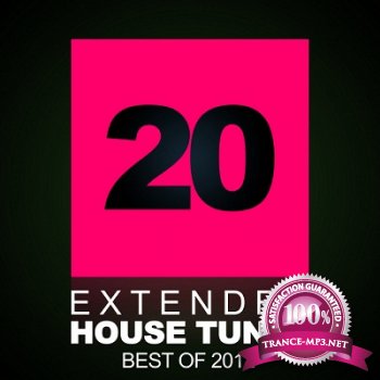 20 Extended House Tunes: Best Of 2012 (2012)