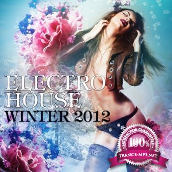 Electro House Winter 2012 (2012)