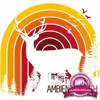Ambient North: A Chill Out Excursion (2013)