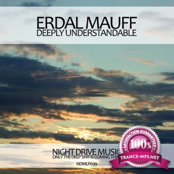 Erdal Mauff - Deeply Understandable LP (2013)