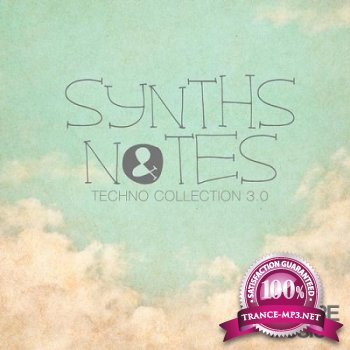 Synths & Notes 3.0 (2013)