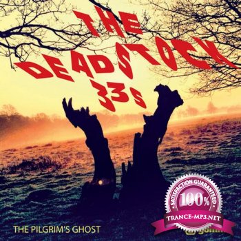 The Deadstock 33s - The Pilgrims Ghost (2013)