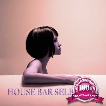 House Bar Selection Vol.3 (2013)