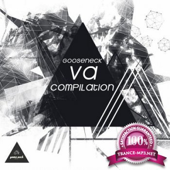 VA Compilation (2013)