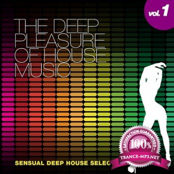 The Deep Pleasure Of House Music Vol.1 (2013)
