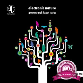 Electronic Nature Vol 2: Aesthetic Tech House Tracks (2013)