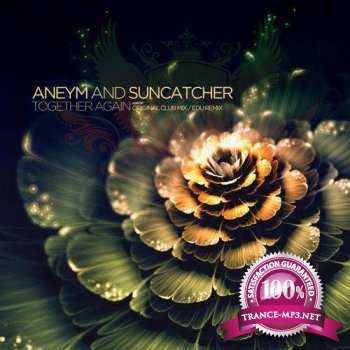 Aneym and Suncatcher - Together Again