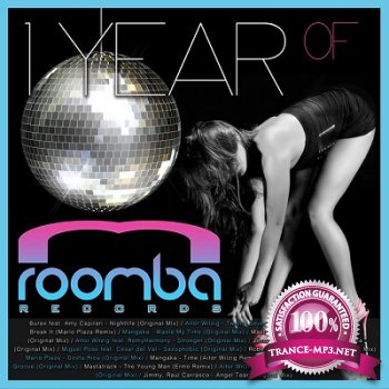 1 Year Of Roomba Records (2013)