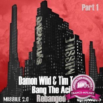 Damon Wild & Tim Taylor  Bang the Acid: Rebanged! (2013)