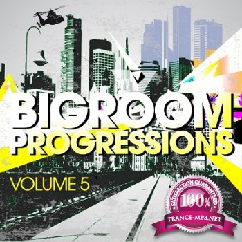 Bigroom Progressions Vol.5 (2013)