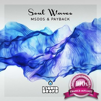 MSDOS & Payback - Soul Waves Lp (2013)