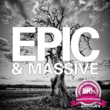 Epic & Massive Vol.3 (2013)
