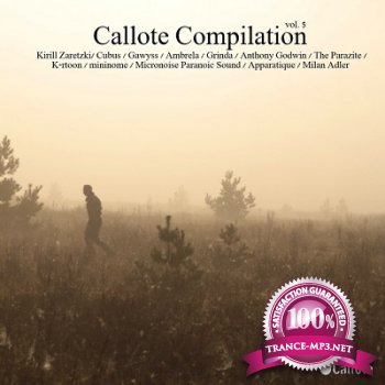 Callote Compilation Vol.5 (2013)