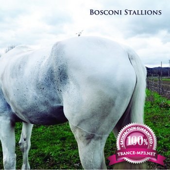Bosconi Stallions Compilation: Celebrating 5 Years Of Bosconi Records (2013)