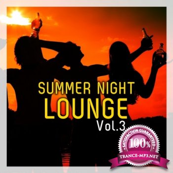 VA - Summer Night Lounge Vol 3 (2013)