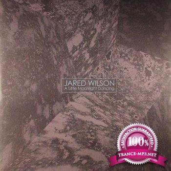 Jared WILSON - A Little Moonlight Dancing (2013)