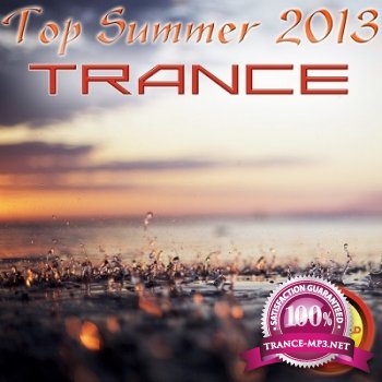 Trance Top Summer 2013 (2013)