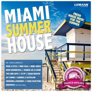 Miami Summer House (2013)