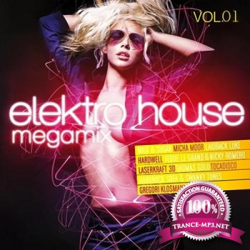 VA - Electro Megamix Vol. 01 (2013)