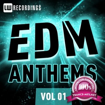 EDM Anthems Vol.01 (2013)