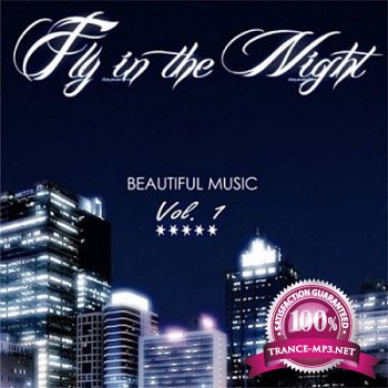 Fly in the Night Vol.1 (Beautiful Music Compilation 2013) (2013)