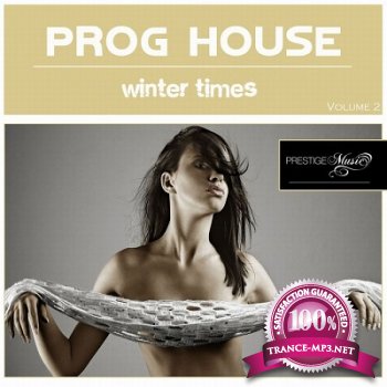 Progressive House Winter Times Vol.2 (2013)