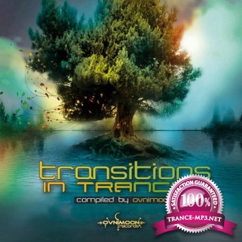 Transitions In Trance Vol.2 (2013)