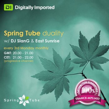 DJ SlanG & Technodreamer - Spring Tube Duality 038 (2013-10-21)