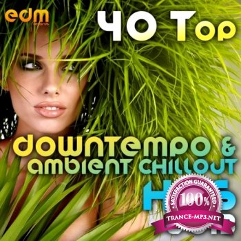 VA - 40 Top Downtempo & Ambient Chillout Hits (2013)