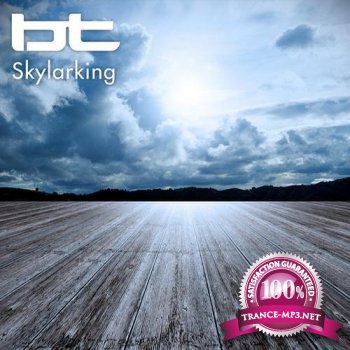  BT - Skylarking 009 (2013-11-06)