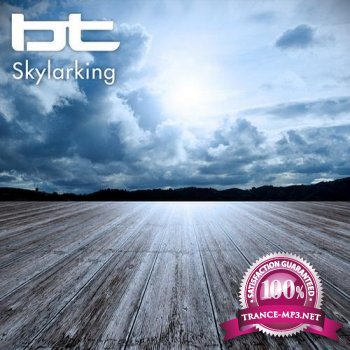  BT - Skylarking 010 (2013-11-13)