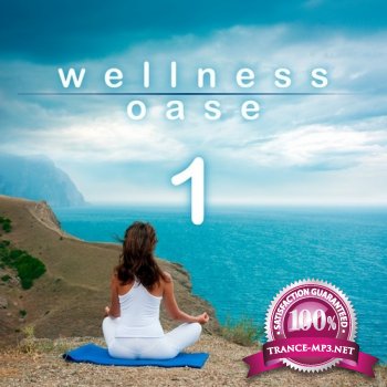 VA - Wellness Oase (2013)