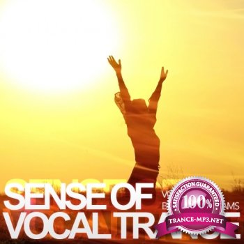 VA - Sense of Vocal Trance Volume 25 (2013)
