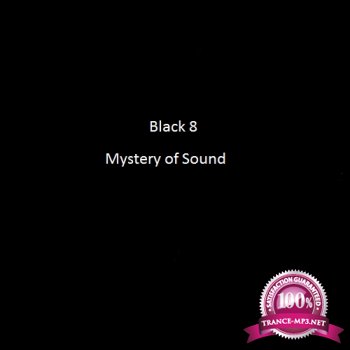 Black 8 - Mystery of Sound 007 (2013-11-26)