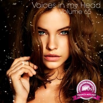 VA - Voices in my Head Volume 65 (2013)
