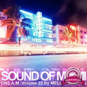 VA - Sound Of Miami: One A.M. Volume 22 (2013)