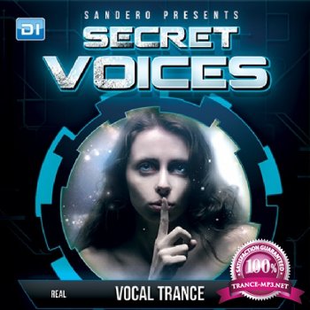 Sandero - Secret Voices 041 (2013-12-02)