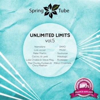 Unlimited Limits Vol.5 (2013)