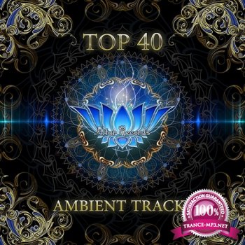 VA - Top 40 Ambient Tracks (2013)