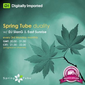 DJ SlanG & Technodreamer - Spring Tube Duality 040 (2014-01-22)