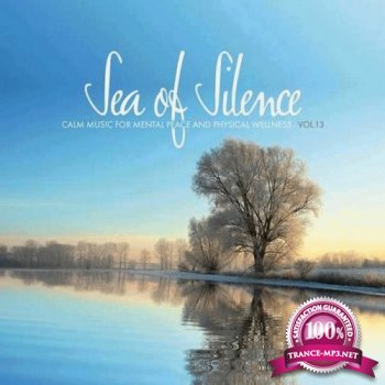VA - Sea of Silence Vol. 13 (2014)