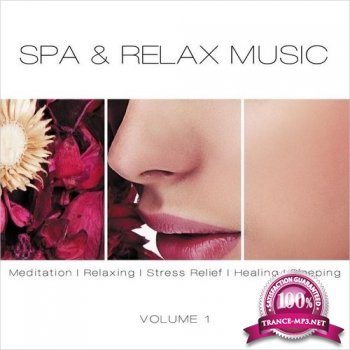 VA - SPA & Relax Music Vol. 1 (2014)