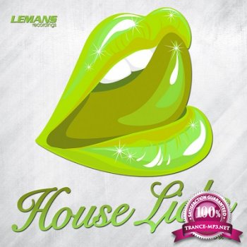 House Licks Vol.5 (2013)