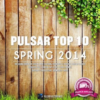 Pulsar Top 10 Spring (2014)