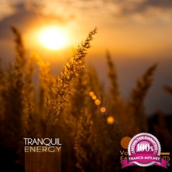 VA - Tranquil Energy Vol.3 Earth Moments (2014)
